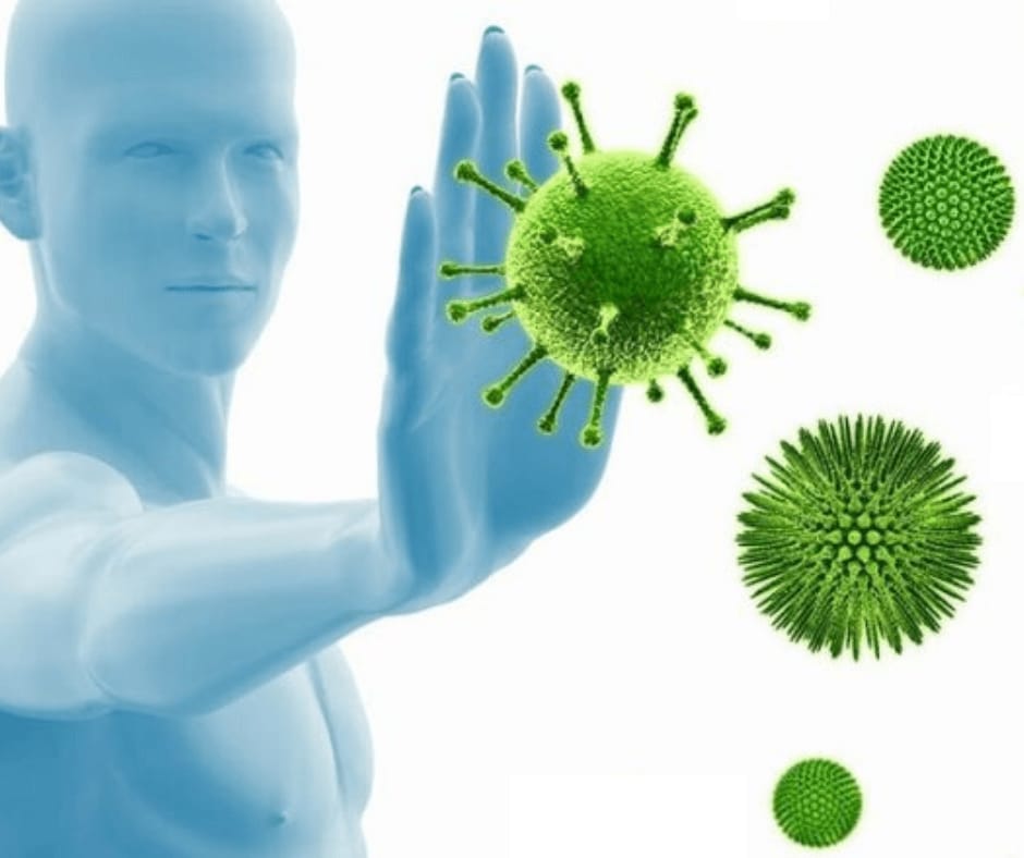 stop virus